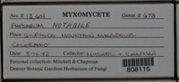 Image Associated With the Occurence